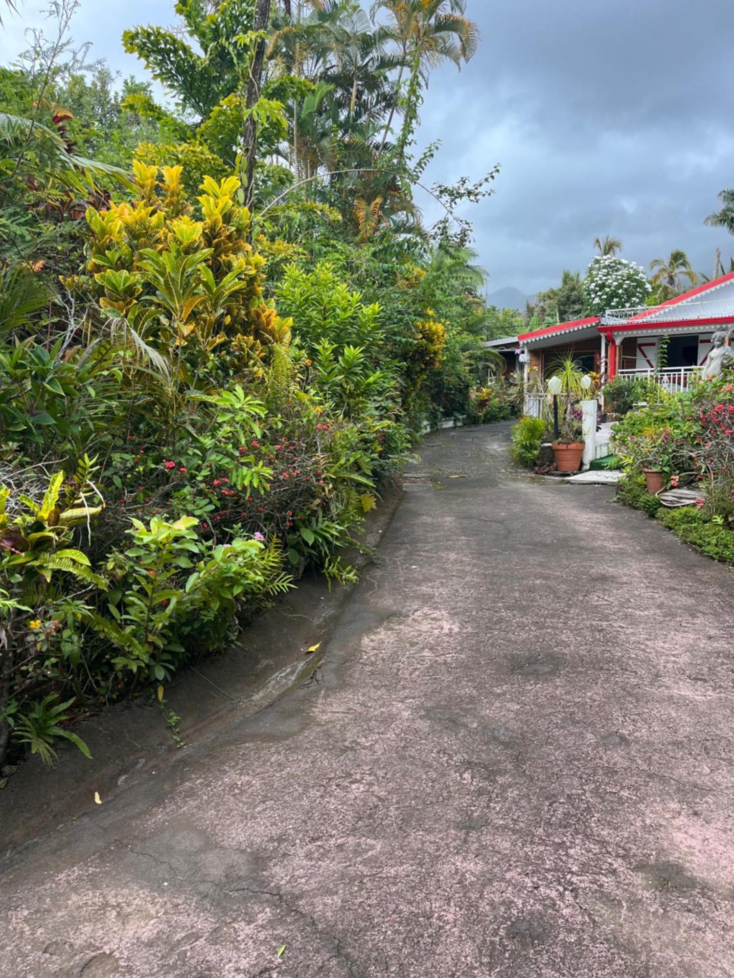 Lakour Fleurie - Ex La Case Creole Sainte-Rose Extérieur photo